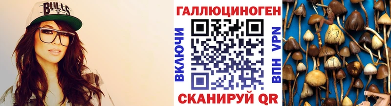 сайты даркнета формула Воткинск Псилоцибиновые грибы Psilocybine cubensis где можно купить наркотик